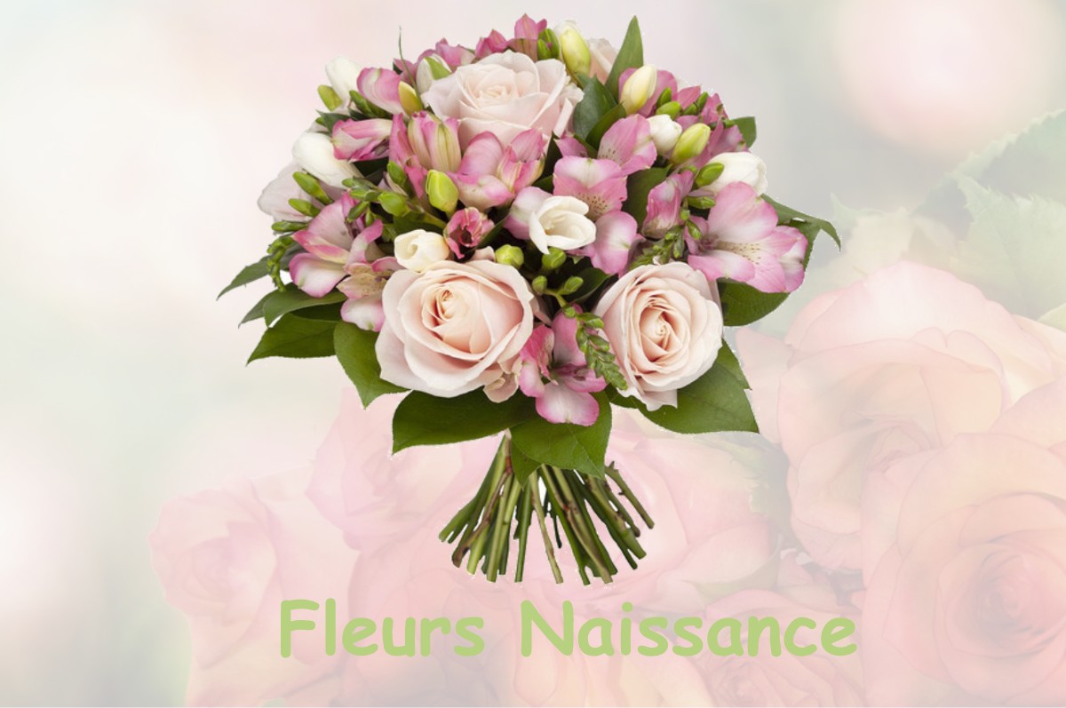 fleurs naissance FRESNOY-FOLNY